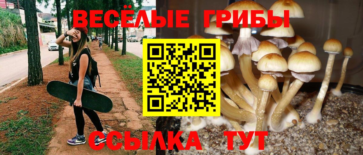 Нижний Новгород  Псилоцибиновые грибы GOLDEN TEACHER  Вход с VPN 