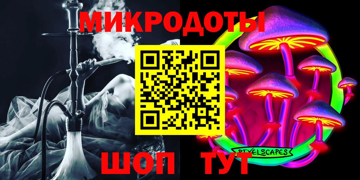 Галлюциногенные грибы Psilocybine cubensis Нижний Новгород